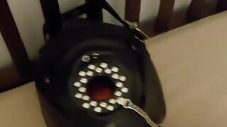 Tyrell Had to Eat My Stinky Socks